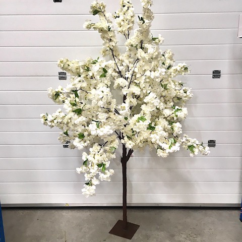 Ivory Blossom Trees 180cm