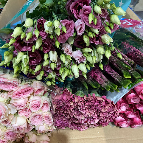 Pink Variety Flowers