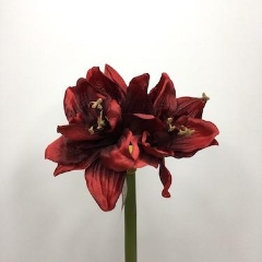 Amaryllis Red 58cm