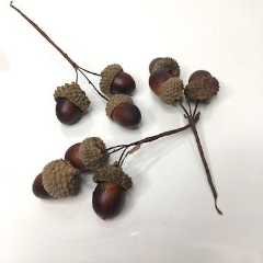 Brown Acorn Pick x 48