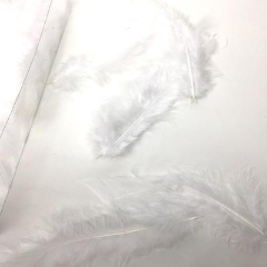 White Turkey Feathers 100g