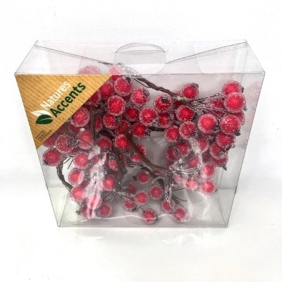 Red Frosted Berry Box 12mm