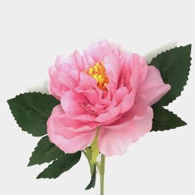 Pink Open Peony Stem 50cm