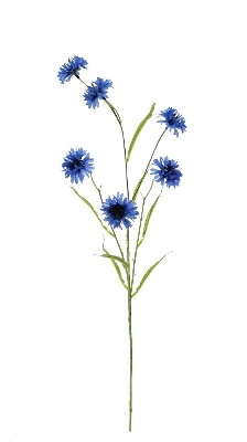 Dark Blue Cornflower 63cm