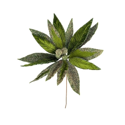 Green Dusted Poinsettia 50cm