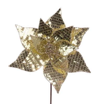 Gold Disco Poinsettia 50cm