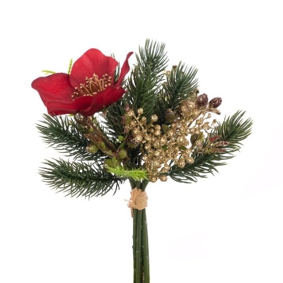 Red Helebore & Pine Bundle 20cm