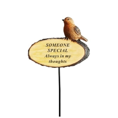 Someone Special Robin Pick 33cm