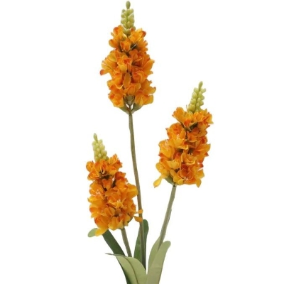 Orange Blossom Spike 65cm