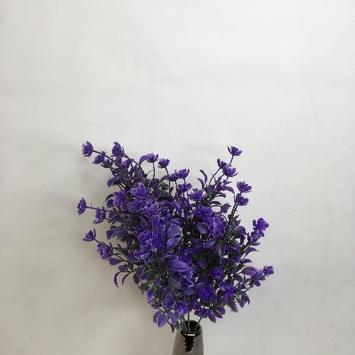 Foliage & Daisy Bush 35cm