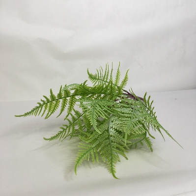 Fern Bush 36cm