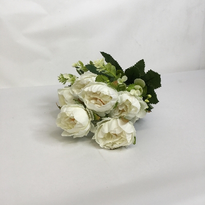 Peony & Eucalyptus Bush 30cm