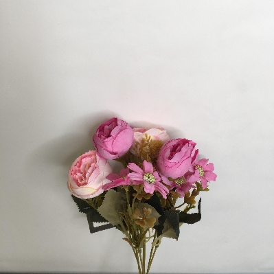 Peony & Cosmos Bush 30cm