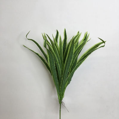 Dracena Foliage 40cm