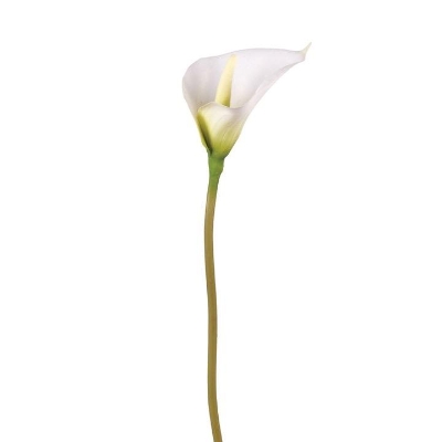 Ivory Calla Lily 59cm
