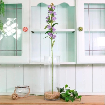 Purple Campanula 82cm