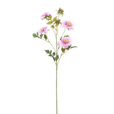 Purple Ruffled Scabious 75cm