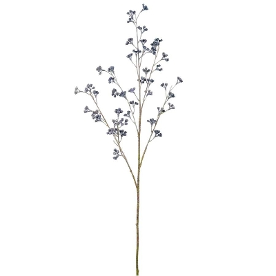 Blue Huckleberry 88cm