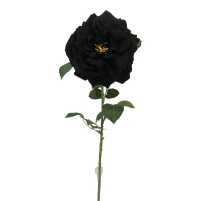 Open Black Velvet Rose 75cm