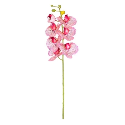 Antique Phalaenopsis Orchid 72cm