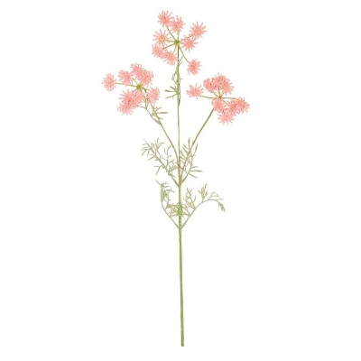 Pink Queen Anne's Lace 80cm