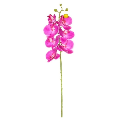 Mauve Phalaenopsis Orchid 72cm