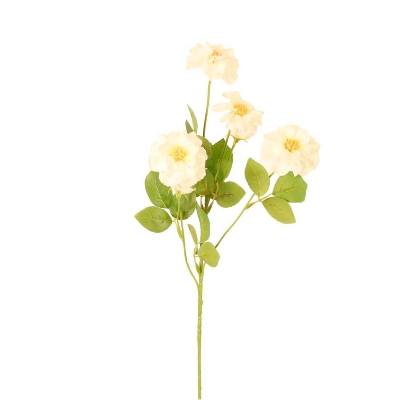 Cream Anastasia Spray 61cm