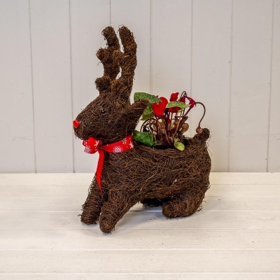 Sitting Reindeer Planter 30cm