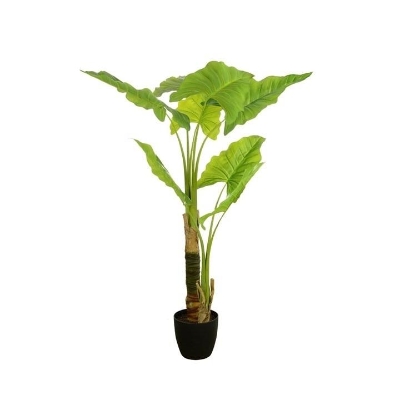 Calla Plant 120cm
