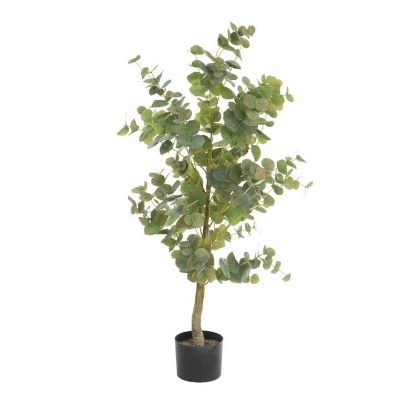 Eucalyptus Tree 112cm