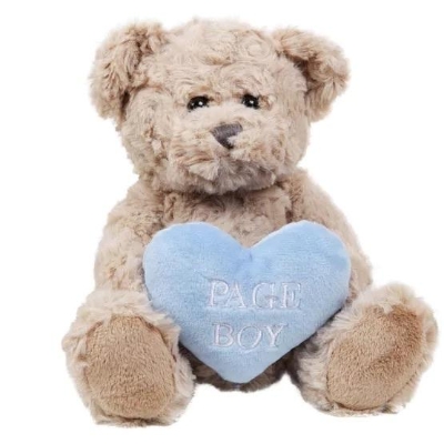 Page Boy Teddy Bear 20cm