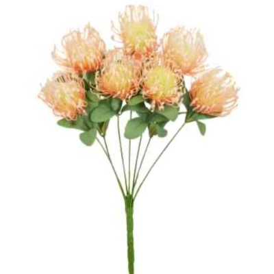 Peach Spider Chrys Bush 48cm