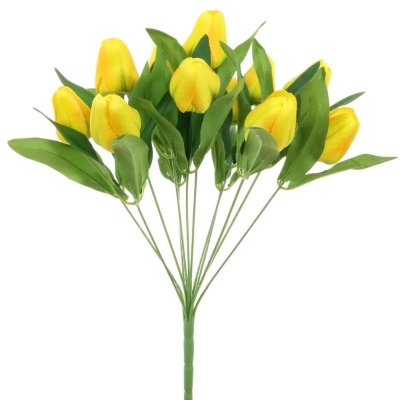 Yellow Tulip Bush 40cm