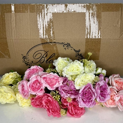 48 x Ruffled Rose Bush