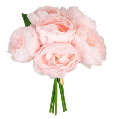 Pale Pink Princess Peony Bunch 30cm