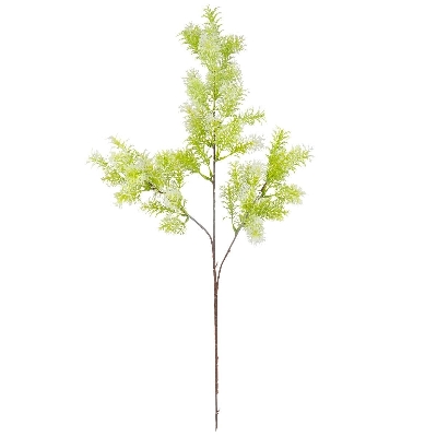 White-Lime Conifer Stem 70cm