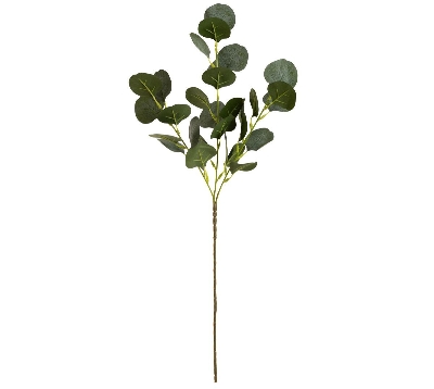 Frosted Green Eucalyptus 60cm