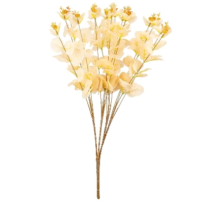 Champagne Eucalyptus Bush 50cm