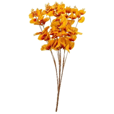 Orange Eucalyptus Bush 50cm