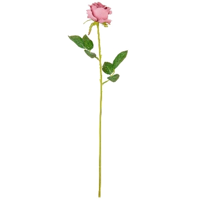 Dusky Gabriella Rose 53cm