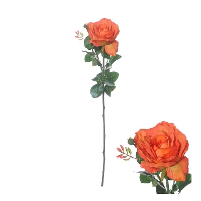 Orange Ireland Rose 66cm