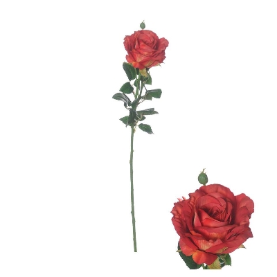 Red Ireland Rose 66cm