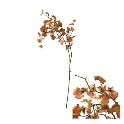 Pink Oncidium 78cm