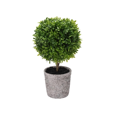 Buxus Ball In Pot 52cm