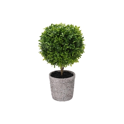 Buxus Ball In Pot 39cm