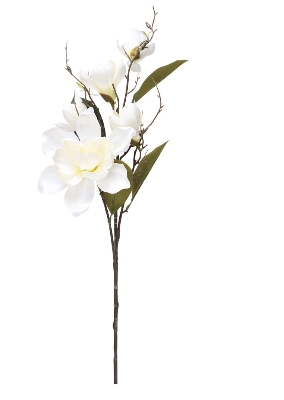 White Magnolia Stem 94cm