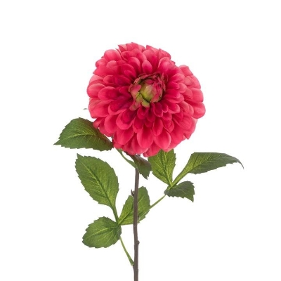 Cerise Pom Pom Dahlia 74cm