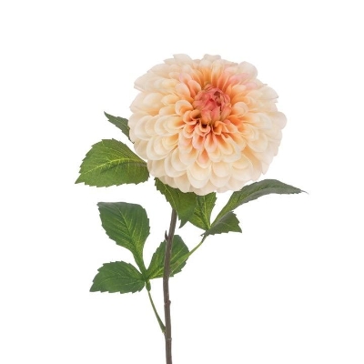Peach Pom Pom Dahlia 74cm