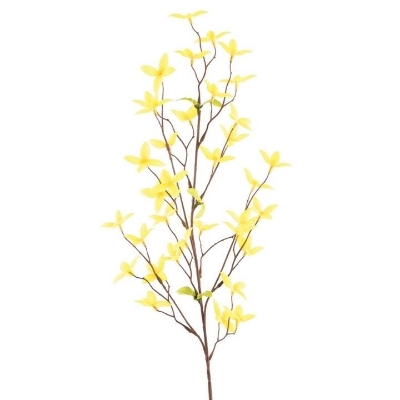 Forsythia 76cm