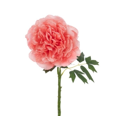 Blush Coral Peony 62cm